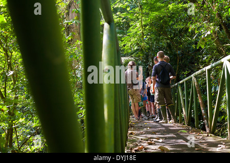 An impromtu lecture on a hanging bridge during graduate studies at La Selva biological station in Sarapiqui de Viejo, Costa Rica Stock Photo