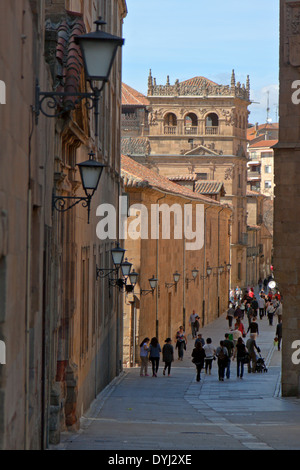 Salamanca, Castilla y León, Spain: View from Calle Compañía on Monterray Palace (16th century ) in Plateresque style. Stock Photo