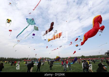 Weifang, China's Shandong Province. 19th Apr, 2014. Kites fly in sky during the 31st Weifang International Kite Festival in Weifang, east China's Shandong Province, April 19, 2014. © Zhang Chi/Xinhua/Alamy Live News Stock Photo