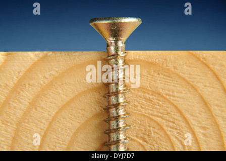 Cross section through wood showing twin thread screw Stock Photo