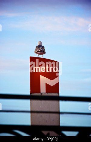 Seagull perched on an illuminated Lisbon metro station sign at dawn Portugal western Europe. Stock Photo