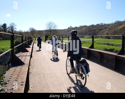 Cyclists on the Camel trail between Wadebridge and Bodmin, Cornwall, UK Stock Photo