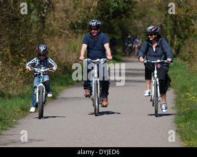Family cycling together on the Camel trail between Wadebridge and Bodmin, Cornwall, UK Stock Photo