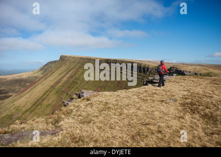 Female hiking on Carmarthen Fans - Bannau Sir Gaer with Picws Du in distance, Black Mountain, Brecon Beacons national park, Wale Stock Photo