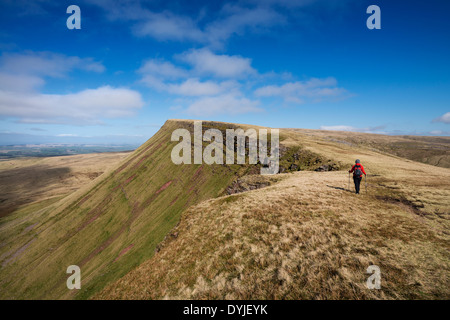 Female hiking on Carmarthen Fans - Bannau Sir Gaer with Picws Du in distance, Black Mountain, Brecon Beacons national park, Wale Stock Photo