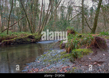 The River Lyd and Woodland At Lydford Gorge, Dartmoor National Park, Lydford Near Tavistock, Devon, England. Stock Photo