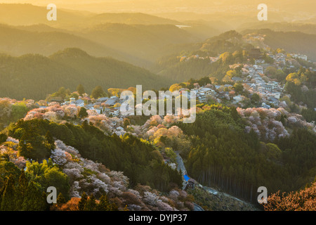 yoshinoyama japan in the spring Stock Photo