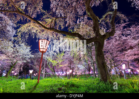 Kyoto, Japan at Hirano Temple festival grounds in spring. The lantern reads 'Moonrise, Hirano Temple' Stock Photo