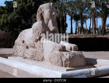The Alabaster Sphinx at the historic site of Memphis Egypt Stock Photo ...
