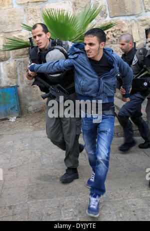 Jerusalem, Jerusalem, Palestinian Territory. 20th Apr, 2014. Israeli policemen detain a Palestinian protester during clashes in Jerusalem's Old City, April 20, 2014. Dozens of Palestinian worshipers were wounded and 25 were detained after clashes broke outside the Al-Aqsa compound when Israeli police denied hundreds of worshippers access to the compound during the visit of Likud member of Knesset Moshe Feiglin © Saeed Qaq/APA Images/ZUMAPRESS.com/Alamy Live News Stock Photo