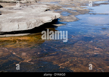 square pattern in slippery rock pool at low tide Stock Photo