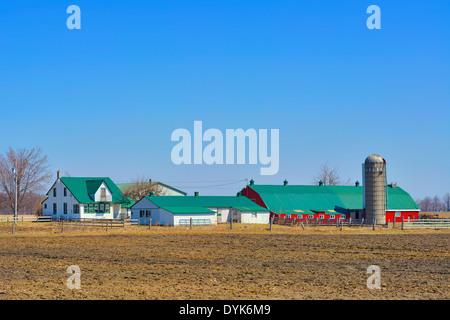 Mennonite Farm, at St. Jacobs in Kitchener Ontario Stock Photo, Royalty ...