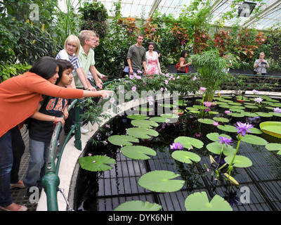 Visitors at Water Lily House, Kew Gardens, Kew, London, UK Stock Photo