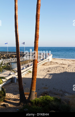 Elevated view of the breakwater  at the Santa Barbara harbor (harbour) with palm trunks in foreground Pacific in background. Stock Photo