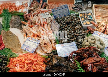 Fresh fish and seafood for sale at Mercado Central, a covered market, Plaza del Mercado, Salamanca, Castilla y León, Spain.