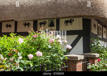 Roses round the cat house Henfield Stock Photo