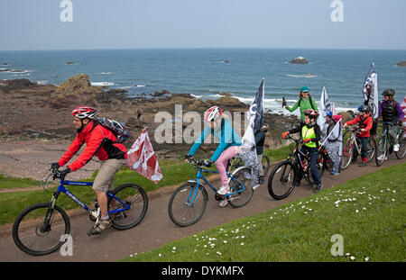 Dunbar, UK. 21st April, 2014. Alex Salmond officially opened the east section of the John Muir Way, a 134-mile path which stretches from East Lothian to Helensburgh in the west of Scotland. Named in honour of the Scots-born environmentalist who is revered across the Atlantic. The new pathway spanning the breadth of central Scotland is expected to generate £40 million for communities along the way, according to the First Minister. The path will be enjoyed by walkers, cyclists and horse riders skirting the rocky coasts of East Lothian Stock Photo