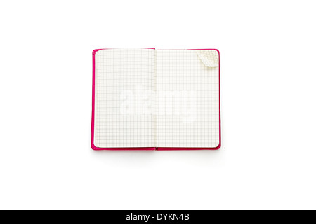 pink blank squared open diary, isolated on white. Stock Photo