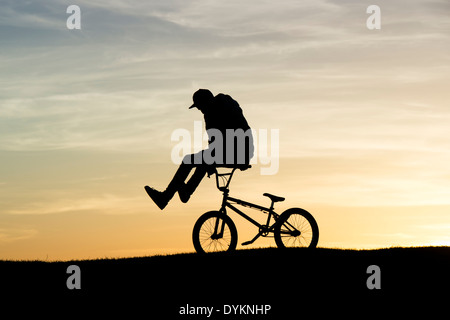 Male Doing Bike Trick Bmx Bicycle Stock Vector by ©mtmmarek 332736906