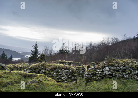 Haunting remains of Arichonan Township, a cleared village in the Highlands of Scotland. Stock Photo