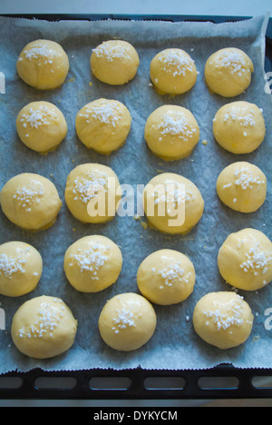 Raw sweet rolls, before going into oven on tray, baking, Finland, Europe Stock Photo