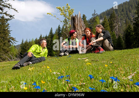 Hikers resting on a mountain pasture, Gesäuse region, Styria, Austria Stock Photo
