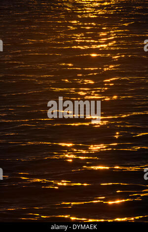 Evening light on the sea, Hinlopenstretet, Svalbard Archipelago, Svalbard and Jan Mayen, Norway Stock Photo
