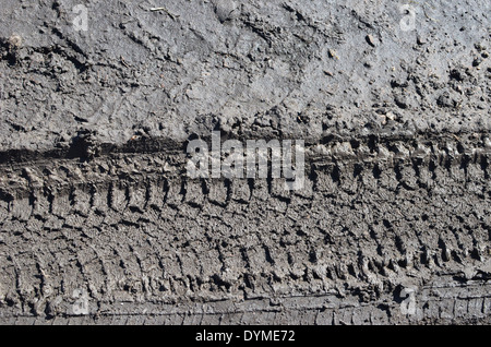 tire tracks in the mud Stock Photo