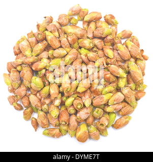 black currant buds isolated on white background Stock Photo