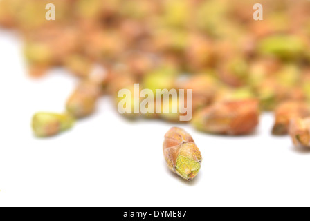 black currant buds isolated on white background Stock Photo