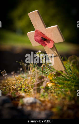 A cross and poppy mark the line of the trenches at the World War 1 battlefield of Vimy Ridge, France Stock Photo