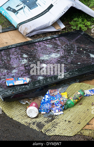 Flat screen TV fly tipped on the edge of a woodland. Northamptonshire. England Stock Photo