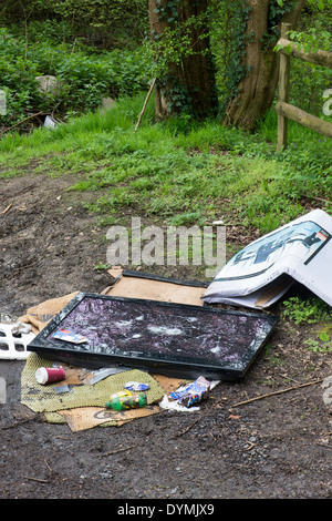 Flat screen TV fly tipped on the edge of a woodland. Northamptonshire. England Stock Photo