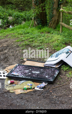 Flat screen TV fly tipped on the edge of a woodland. Northhamptonshire. England