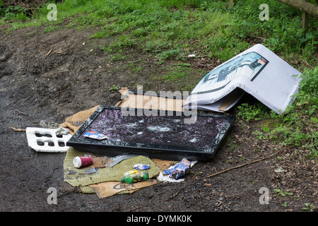 Flat screen TV fly tipped on the edge of a woodland. Northamptonshire. England Stock Photo