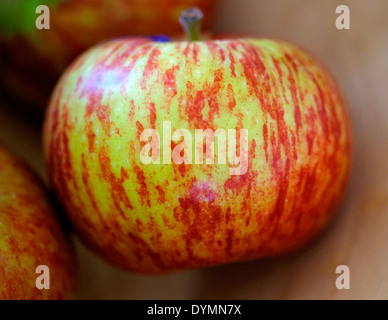 Cox's orange pippin apple Stock Photo