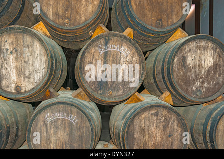 Sant Sadurni d'Anoia, Spain - February 23, 2014: Old Wine barrels in the Codorniu winery. Codorniu winery near Barcelona. Stock Photo