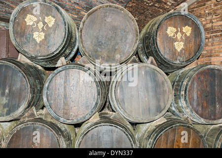 Sant Sadurni d'Anoia, Spain - February 23, 2014: Old Wine barrels in the Codorniu winery. Codorniu winery near Barcelona. Stock Photo