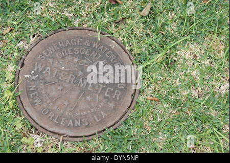 New Orleans Water Meter in the grass within Audobon Park Stock Photo