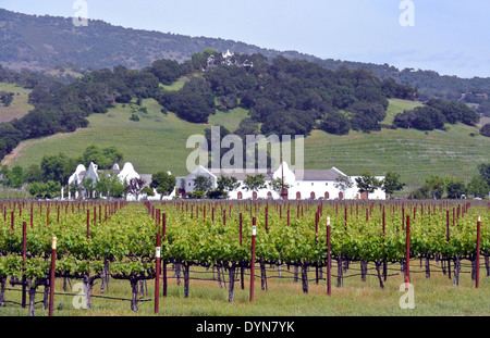 view of Chimney Rock area and winery In Napa Wine Country Stock Photo