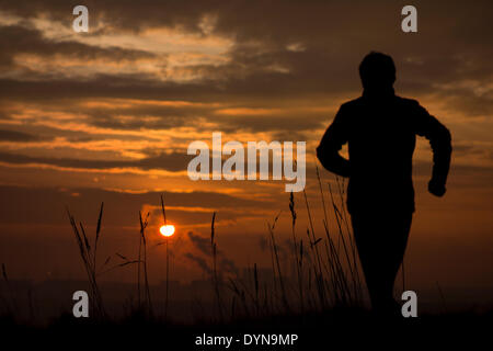 Cowpen Bewley Woodland Park, Billingham, England, UK. 23rd April 2014. Jogger in Cowpen Bewley Woodland Park as the rising sun burns through early morning mist and fog. Credit:  ALANDAWSONPHOTOGRAPHY/Alamy Live News Stock Photo