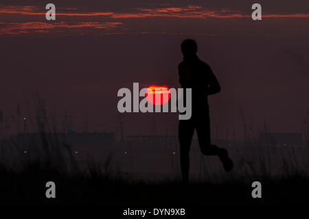 Cowpen Bewley Woodland Park, Billingham, England, UK. 23rd April 2014. Jogger in Cowpen Bewley Woodland Park as the rising sun burns through early morning mist and fog. Credit:  ALANDAWSONPHOTOGRAPHY/Alamy Live News Stock Photo