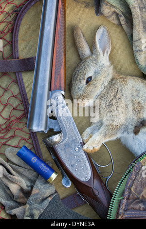 A dead rabbit with a shotgun and shooting equipment Stock Photo - Alamy