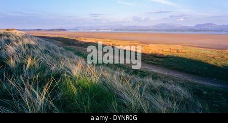 Caernarfon and Menai Straits from Newborough Warren National Nature Reserve Anglesey north Wales UK Stock Photo