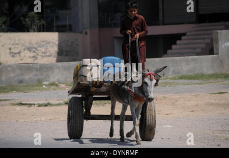ISLAMABAD, PAKISTAN-APRIL 23: An Afghan refugee boy carries water canes on his donkey-cart in the slum area in the outskirts of Islamabad, Pakistan. More than five millions of Afghan refugees fled their homeland since Soviet invasion in 1970s. Some 3.6 million Afghan refugees have been repatriated to Afghanistan from Pakistan since March 2002, under a tripartite agreement between the UN Refugee Agency (UNHCR) and the governments of Pakistan and Afghanistan. More than 1.6 million Afghan refugees are still living in Pakistan, especially in camps and slums areas and not returning to their homelan Stock Photo