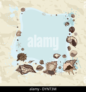 Frame of seashells. Summer background. Vector illustration Stock Photo ...