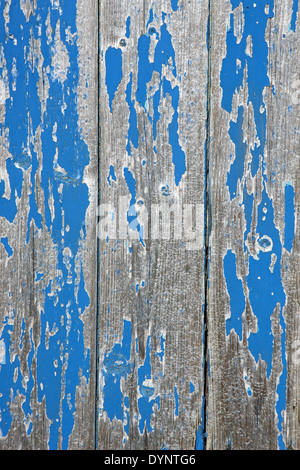 Blue chipped and peeling paint on a wooden shed Stock Photo