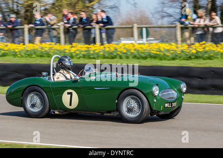 1955 Austin Healey 100S with driver Kurt Englehorn, Peter Collins Trophy race, 72nd Goodwood Members meeting, Sussex, UK. Stock Photo