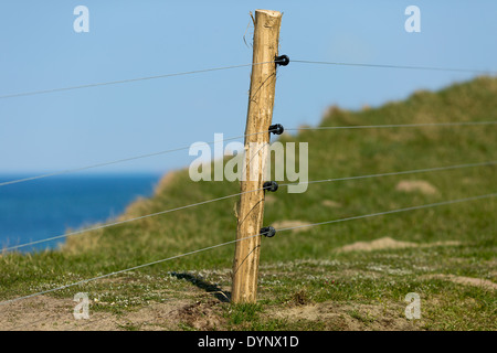 Eletric fence with four thin wires and a pole made of wood. Stock Photo