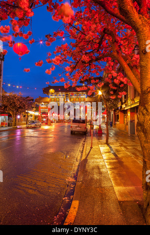 Japanese cherry blossom tree and Gate of Harmonious Interest in Chinatown lit up at night-Victoria, British Columbia, Canada. Stock Photo